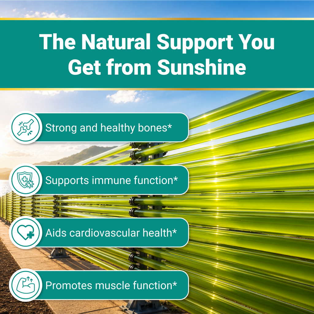 Naturalis Vegan Certified Vitamin D3 125mcg (5000IU) with AlgaeD3 | Vegan, Non-GMO, Soy & Gluten Free | Naturally Derived in New Zealand | Bone & Immune Support