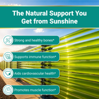 Naturalis Vegan Certified Vitamin D3 50mcg (2000IU) with AlgaeD3 | Vegan, Non-GMO, Soy & Gluten Free | Naturally Derived in New Zealand | Bone & Immune Support
