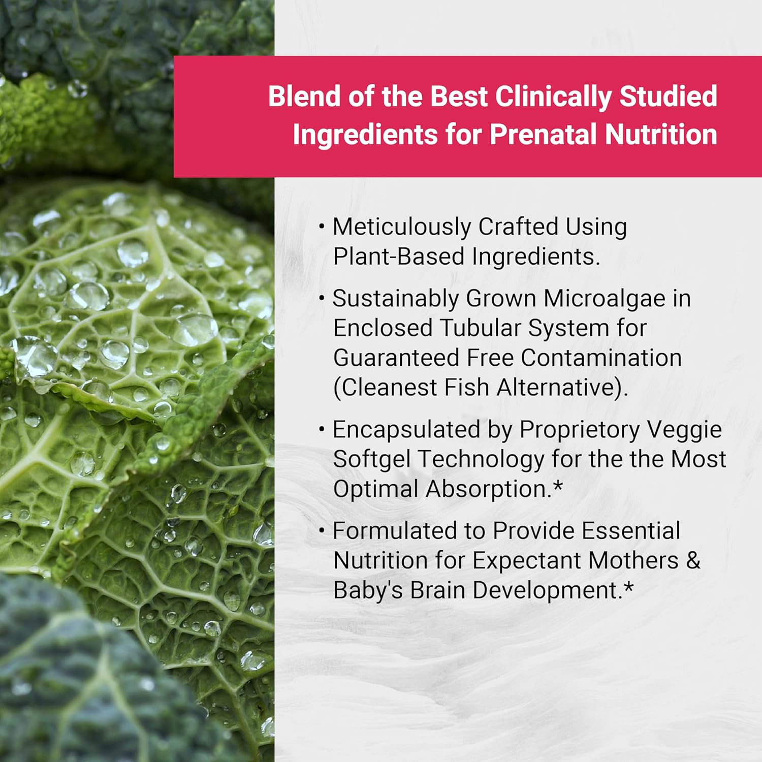 Vegan Prenatal with Full Specrum Omega-3 | Algae  Vitamin D3 & Active Folate image 2