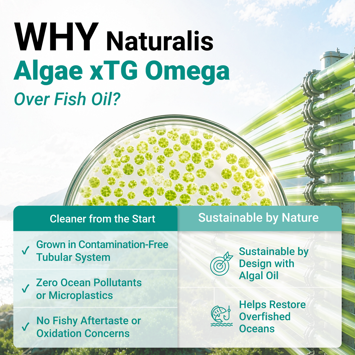 Naturalis Vegan Omega 3 from Algae | New Formula with Lemon