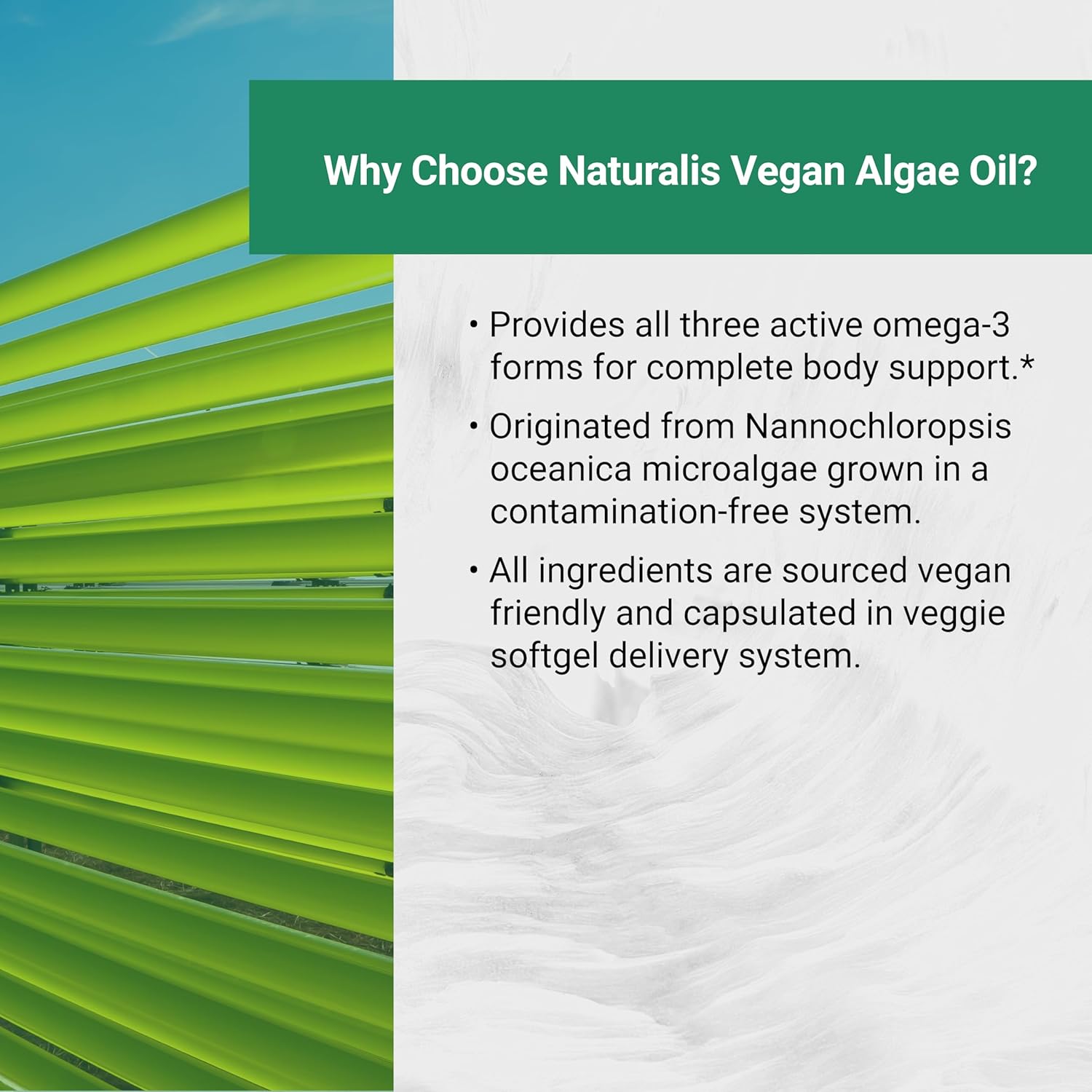 Naturalis Double Strength Vegan Omega 3 DHA, EPA & DPA from Microalgae | Vegan Society Certified, Sustainably Sourced, True Full Spectrum