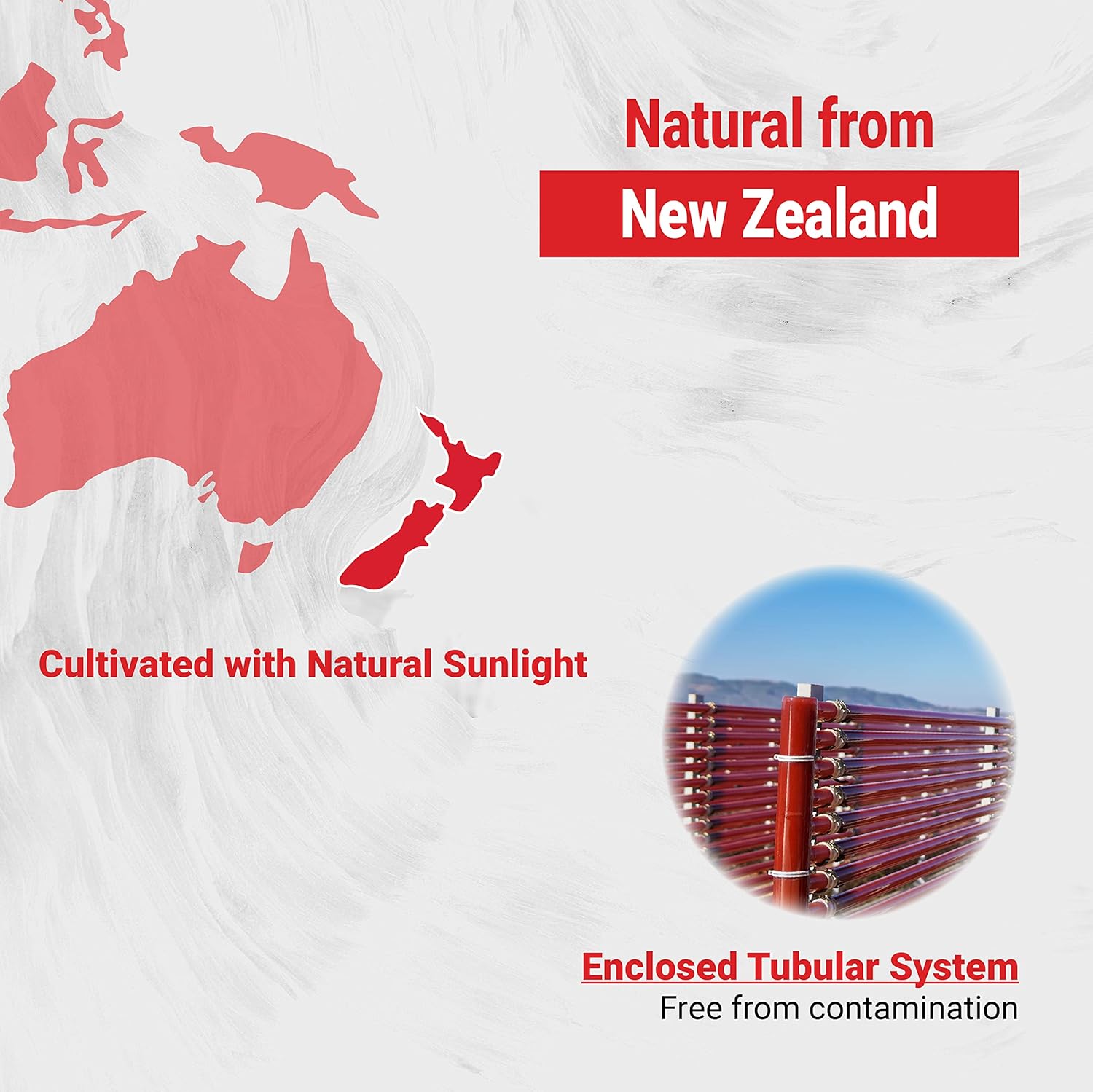 New Zealand Astaxanthin（6mg）with pure MCT oil 丨 mini-softgel formula image 2