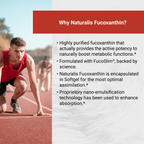 Naturalis New Zealand Fucoxanthin (4mg) | Made with FucoSlim® | Non-GMO, Soy & Gluten Free |