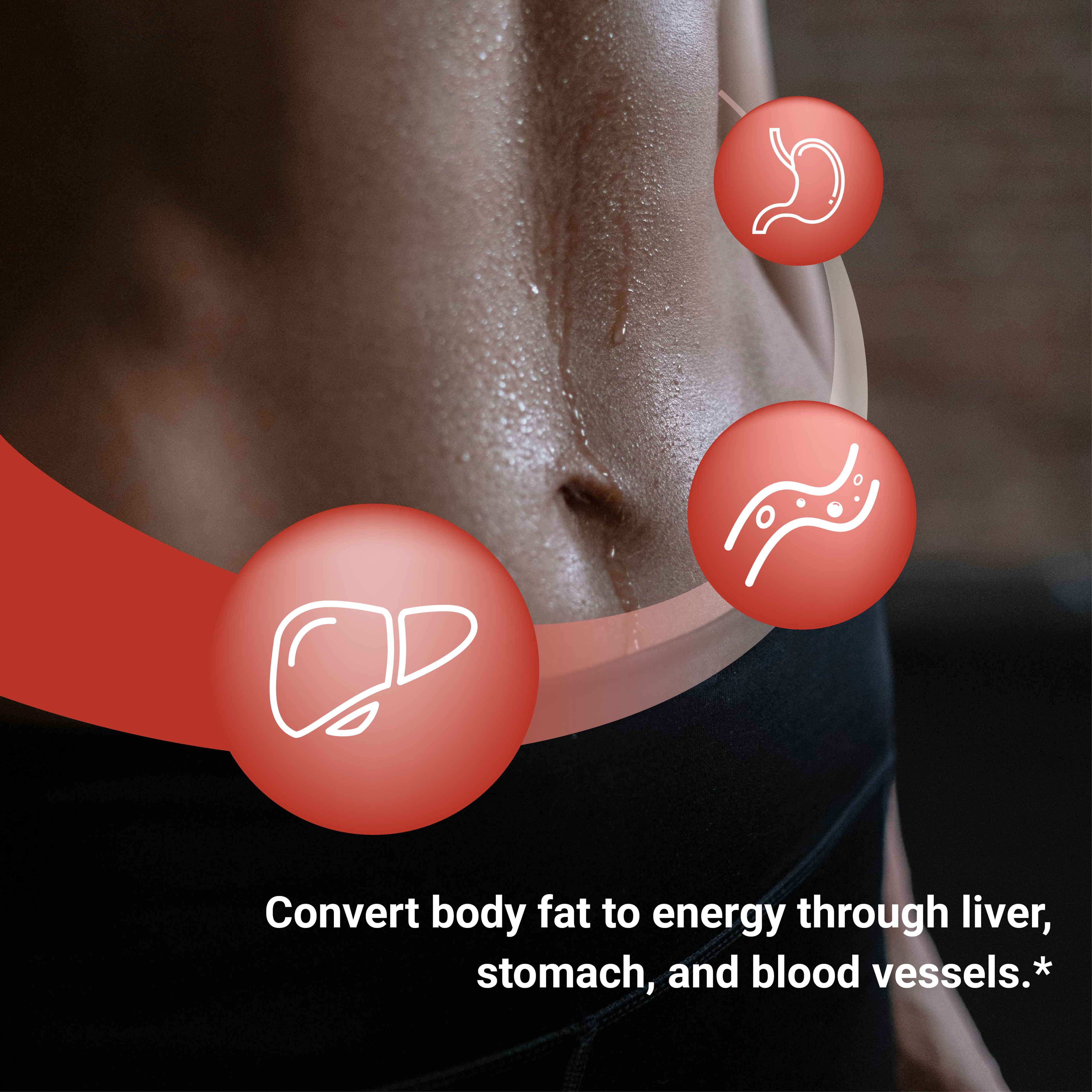 Naturalis New Zealand Fucoxanthin (4mg) | Made with FucoSlim® | Non-GMO, Soy & Gluten Free |