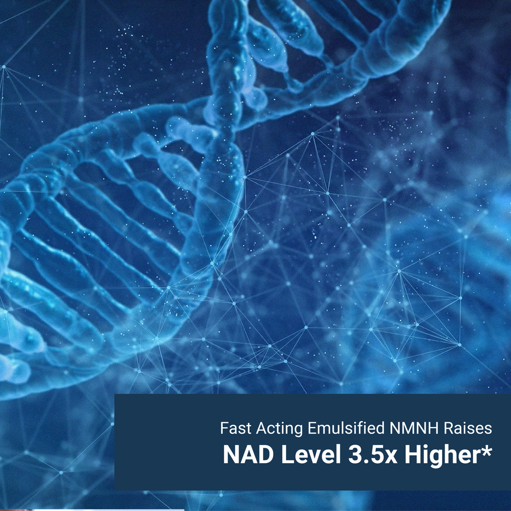 Naturalis Liposomal NMNH 300mg (NMN Alternative) | Boost NAD+ Levels & Support Healthy Aging* | Bioenhanced with Vitamin E for Advanced Absorption, Stability & Antioxidant Protection*