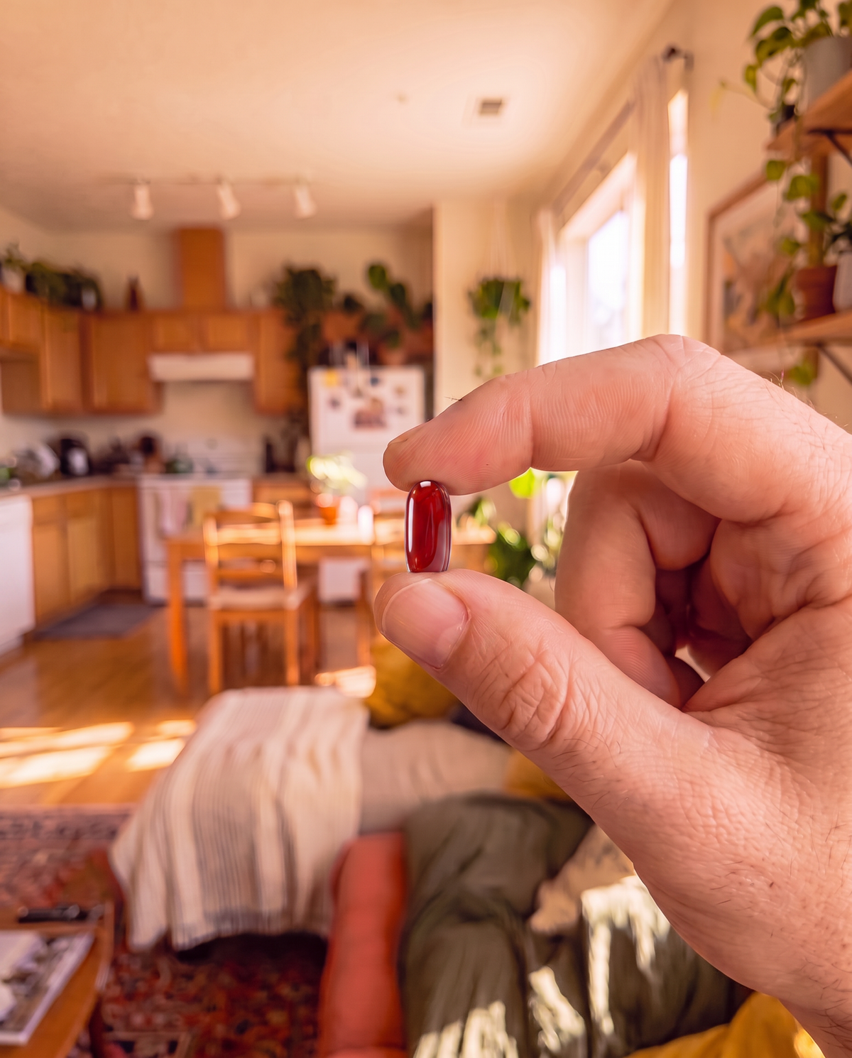 Liver-Support-gallery-life2.png