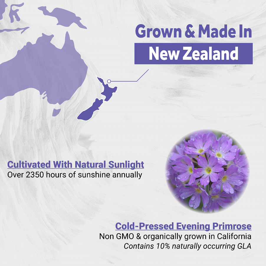 Naturalis Evening Primrose Oil 500mg | New Zealand-Grown, 10% GLA, 3 Softgel/Day