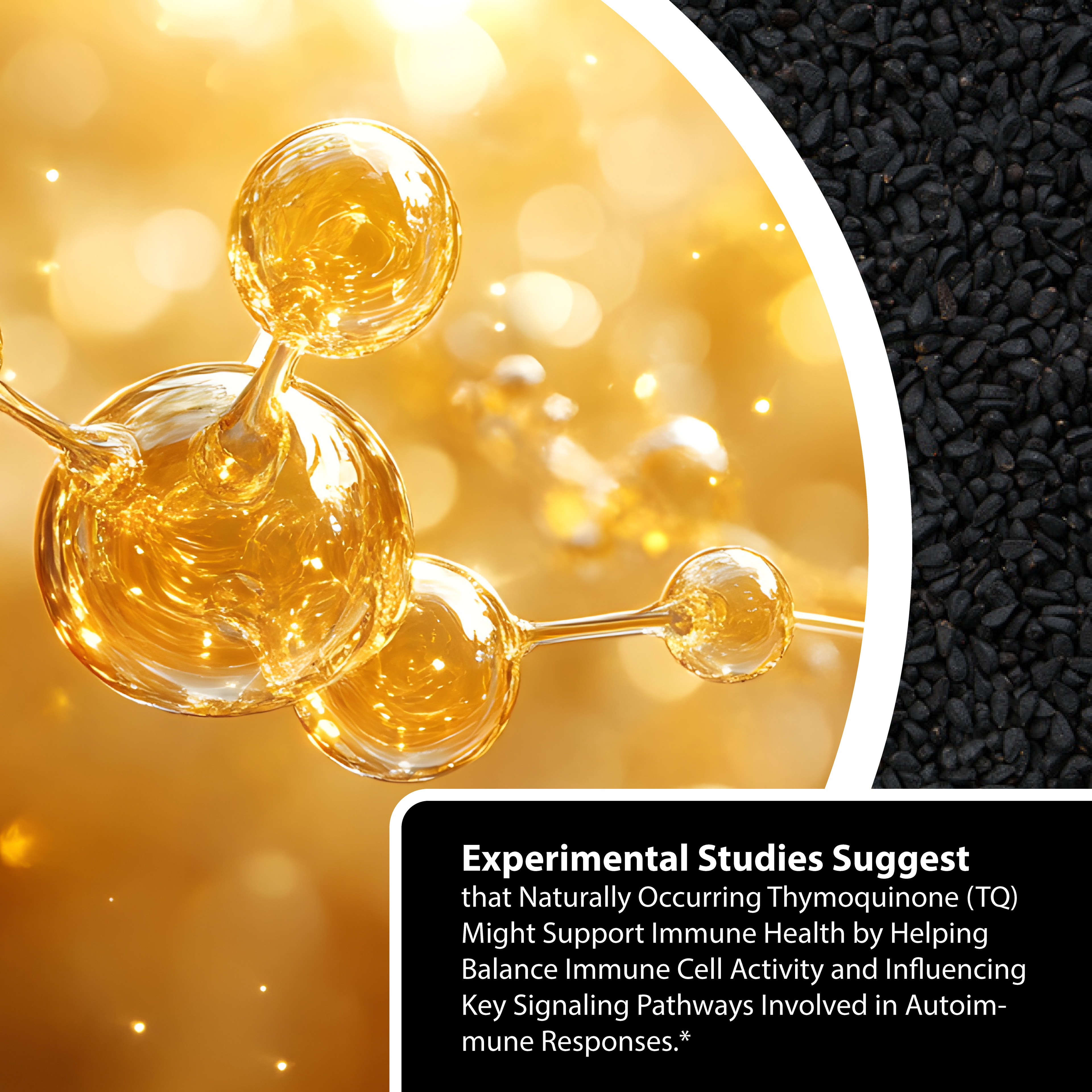 Cold Pressed Black Seed Oil 1000mg |2% Naturally Occurring Thymoquinone (TQ) image 5