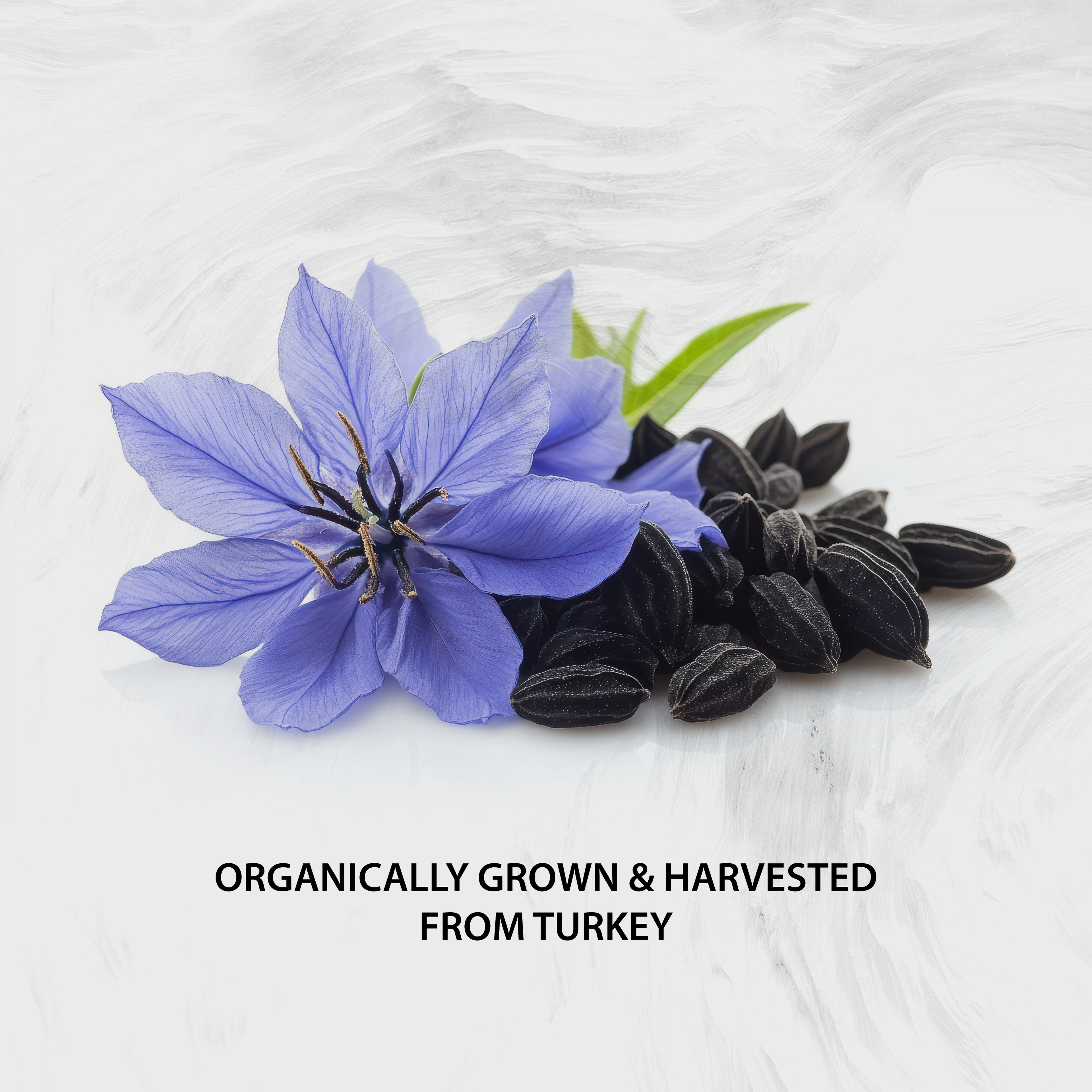 Cold Pressed Black Seed Oil 1000mg |2% Naturally Occurring Thymoquinone (TQ) image 7