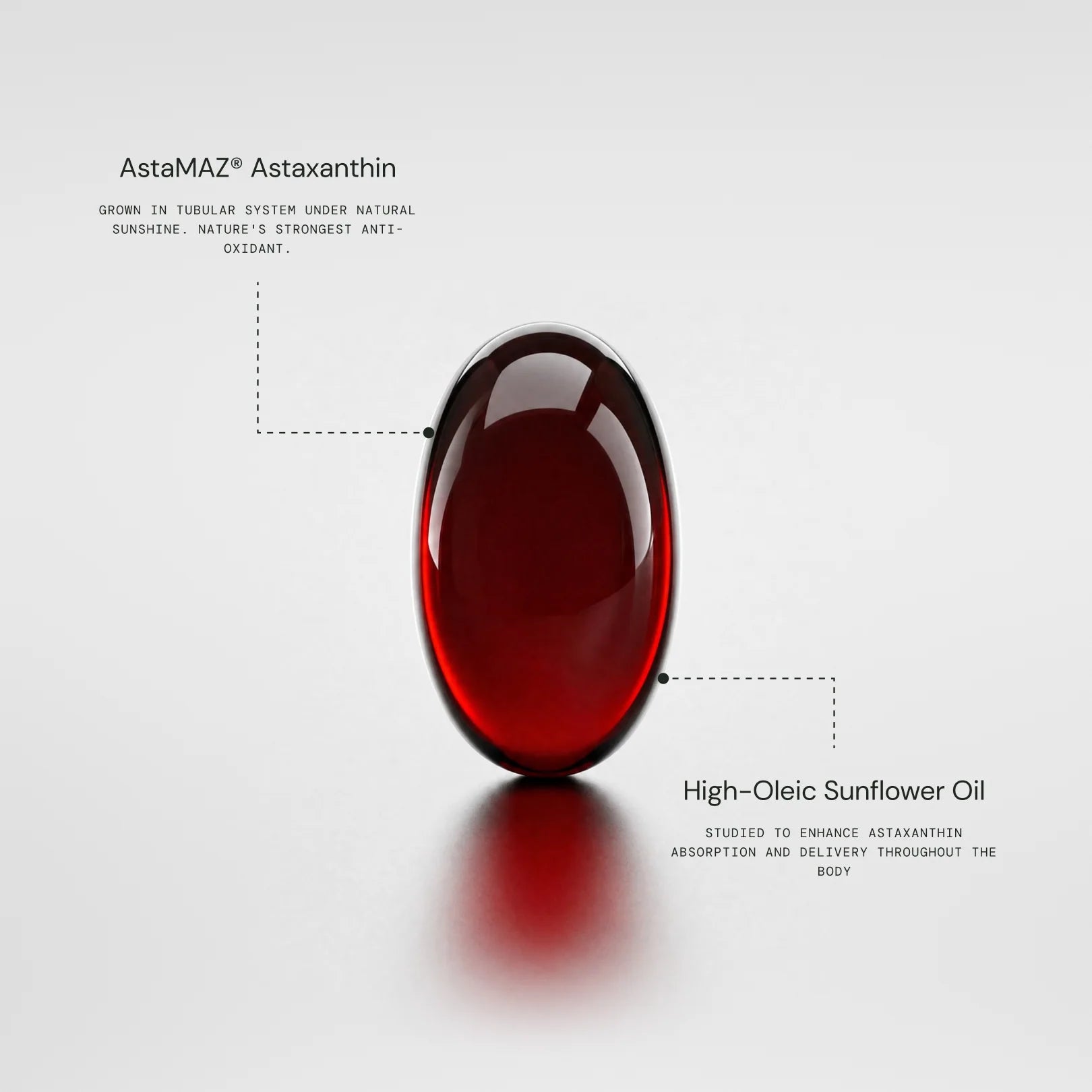 AstaMAZ® Astaxanthin: grown in a tubular system under natural sunshine, nature's strongest antioxidant. High-Oleic Sunflower Oil: studied to enhance astaxanthin absorption and delivery throughout the body.