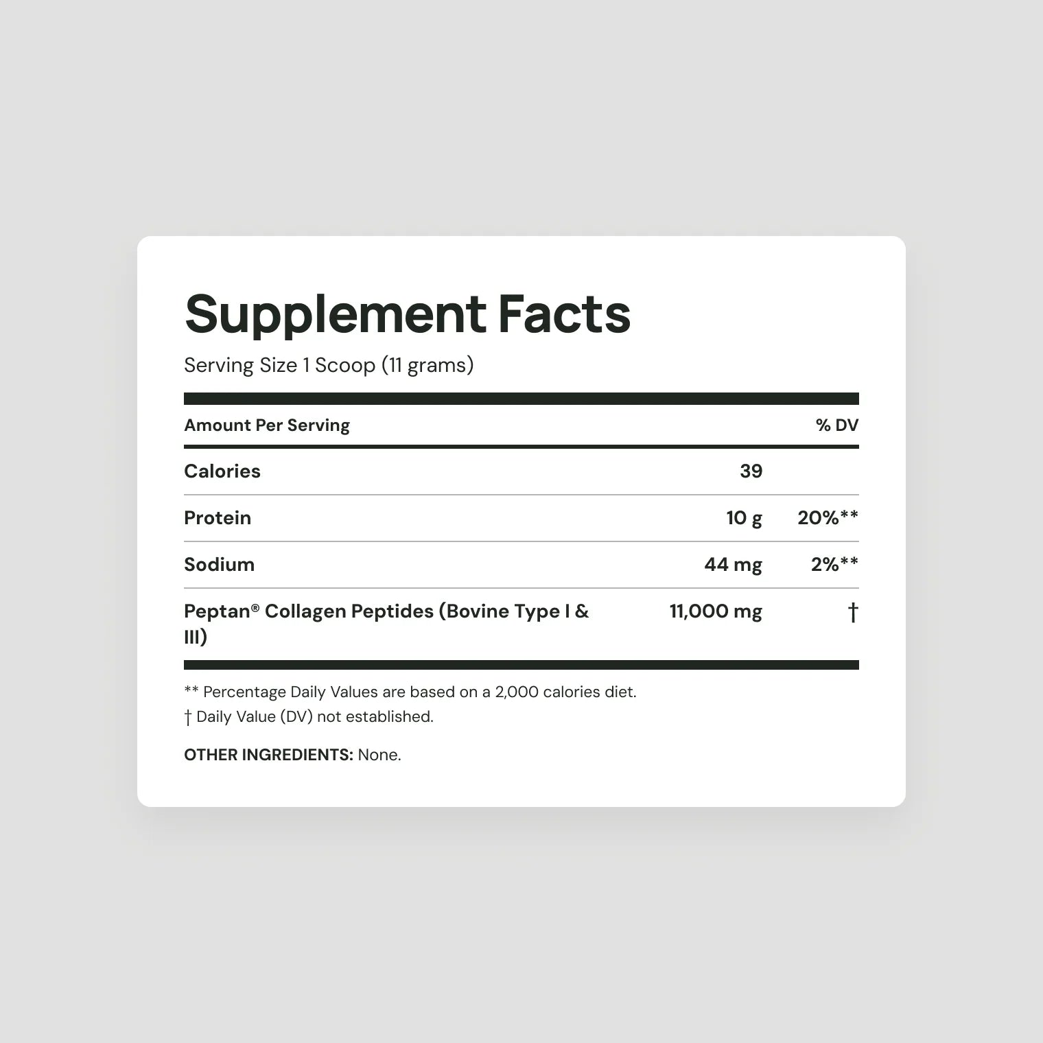 Supplement Facts: Collagen Peptides Powder 7oz