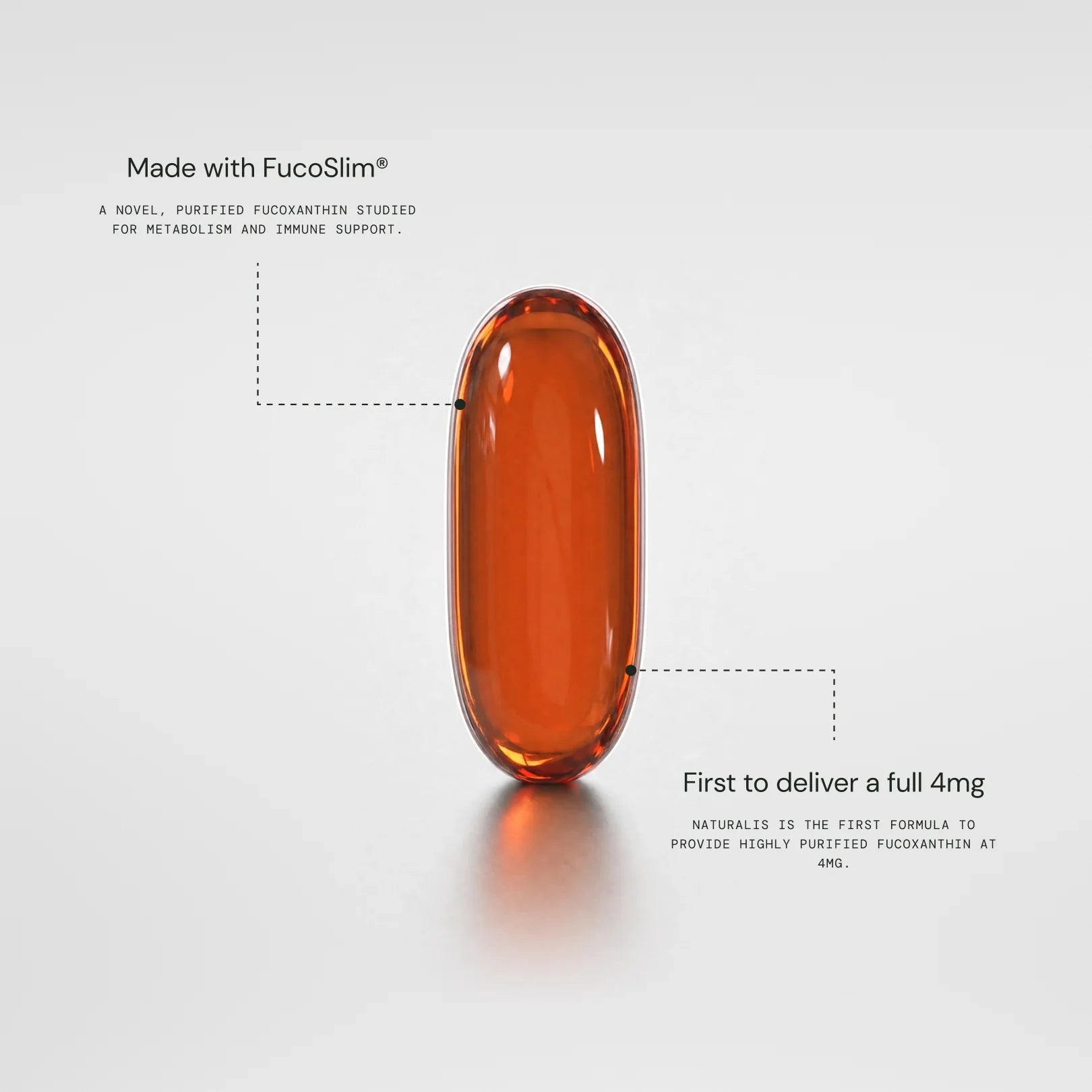 Made with FucoSlim®: a novel, purified fucoxanthin studied for metabolism and immune support. First to deliver a full 4mg: the first formula to provide highly purified fucoxanthin at 4mg.