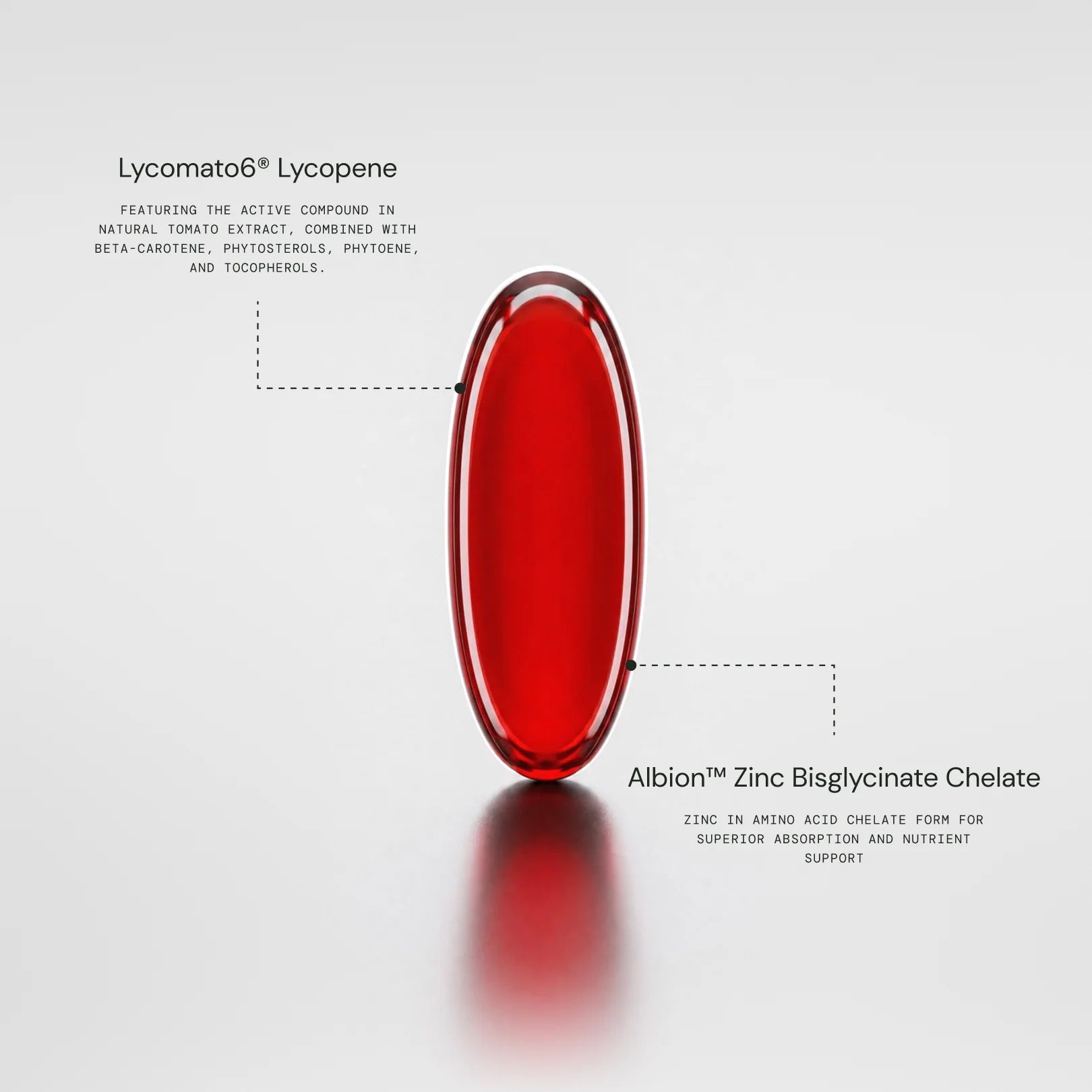 Lycomato6® Lycopene: the active compound in natural tomato extract, combined with beta-carotene, phytosterols, phytoene and tocopherols. Albion™ Zinc Bisglycinate Chelate: zinc in amino acid chelate form for superior absorption and nutrient support.