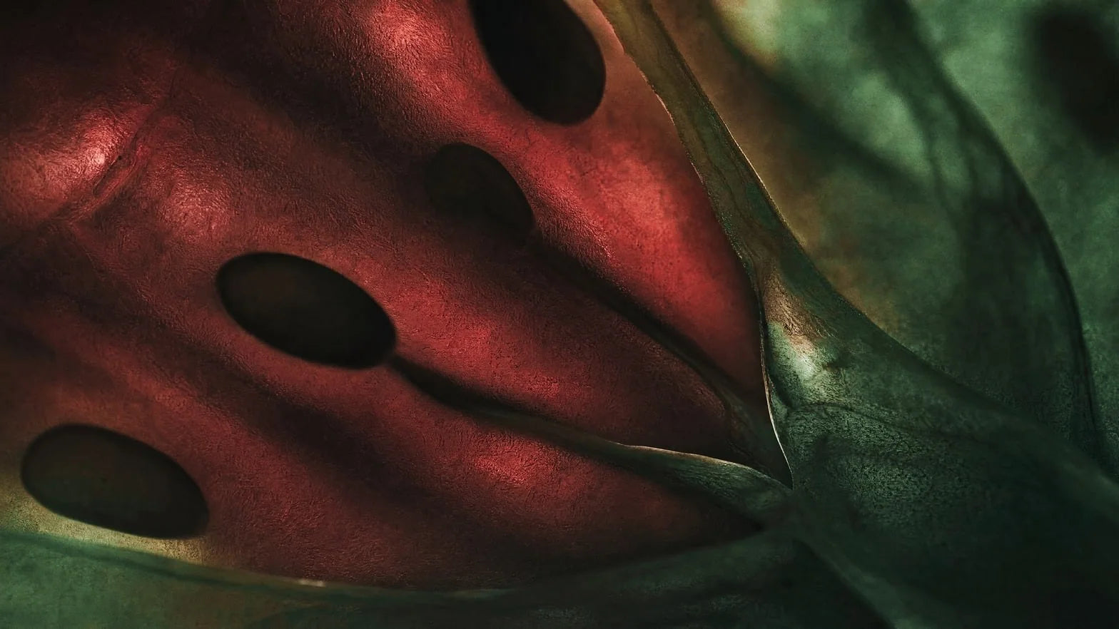 Macro close-up of tomato flesh and seeds